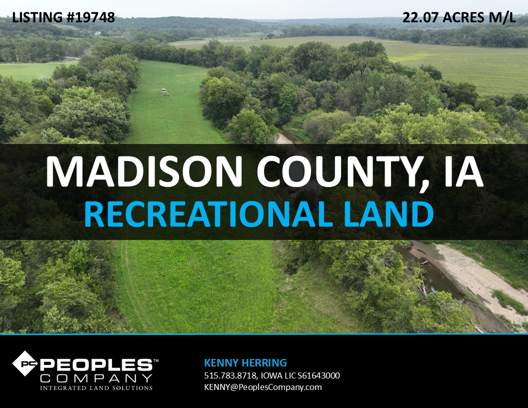 Listing #19748